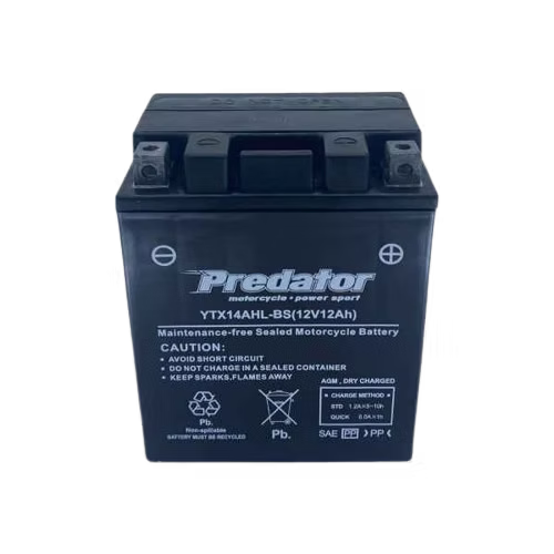 Predator YTX14AHL-BS 12V 12AH RL High-Performance Motorcycle Battery - Maintenance-Free, 133W x 90H x 164mm, 4.5kg