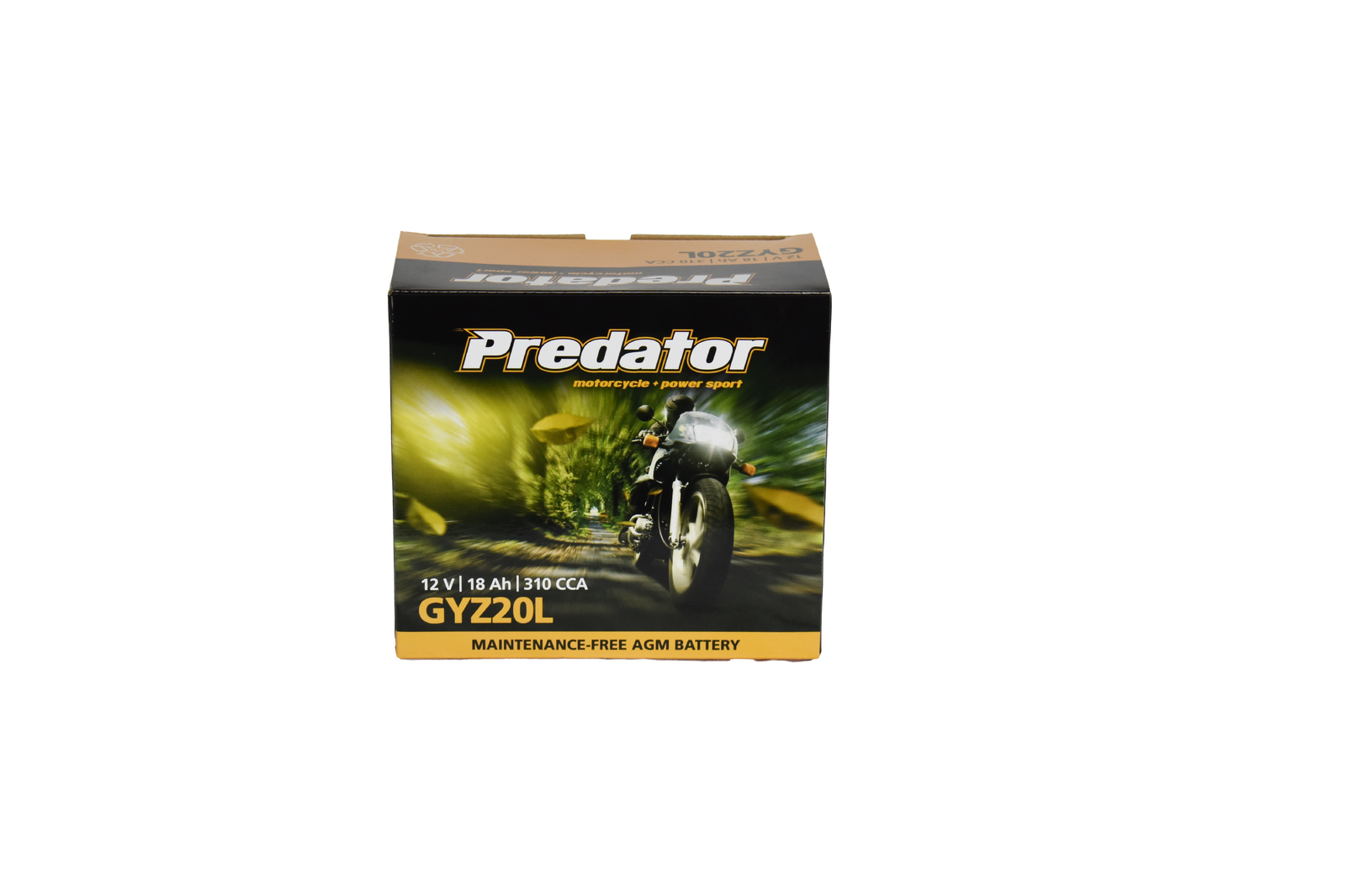 GYZ20L 12V Sealed Predator Motorcycle Battery - Maintenance-Free, AGM, Fits Sportbikes, Cruisers, Touring - Replaces YTX20HL-BS
