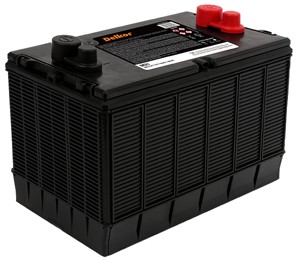 Delkor M31 110Ah Marine Battery: Starting & Cycling, 720CCA, Dual Terminals, Boat, RV
